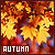 Amber and Leaves: An Autumn Fanlisting