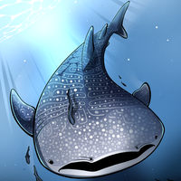 A whale shark I drew for Jey Pawlik's Swim On zine!